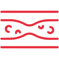 Lipid synthesis Contributes to healthy lipid synthesis
