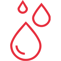 Metabolism Plays a role in the metabolism of nutrients